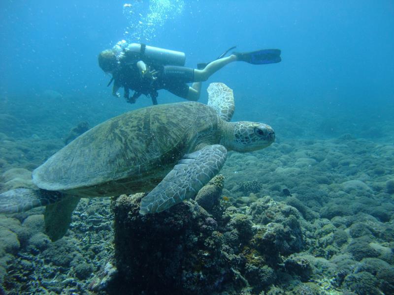 Ricel Homestay Gili Trawangan Esterno foto